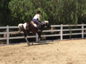 overcome fear of riding horses
